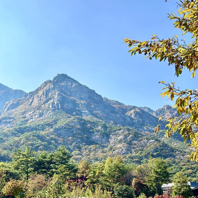 전라도 단풍명소 감성 브런치카페