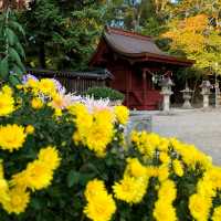 บรรยากาศฤดูใบไม้ร่วง🍁🍂