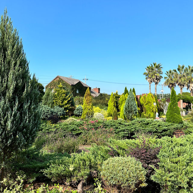 Jeju herb garden