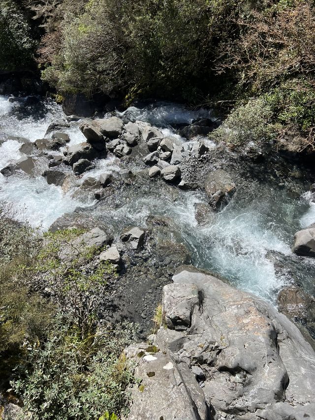 紐西蘭南島 Arthur's pass 輕鬆徒步就欣賞到經驗瀑布