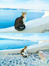 【絶景】まるで映画の世界！一生に一度は行きたいサントリーニ島🏝🇬🇷