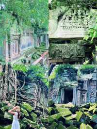 【絶景】まるでラピュタの世界！神秘的で美しいベンメリア遺跡🇰🇭