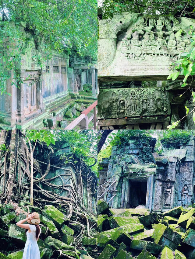 【絶景】まるでラピュタの世界！神秘的で美しいベンメリア遺跡🇰🇭