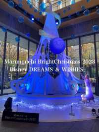 2023年思い出にのこるディズニークリスマスイルミネーション「ウィッシュ」
