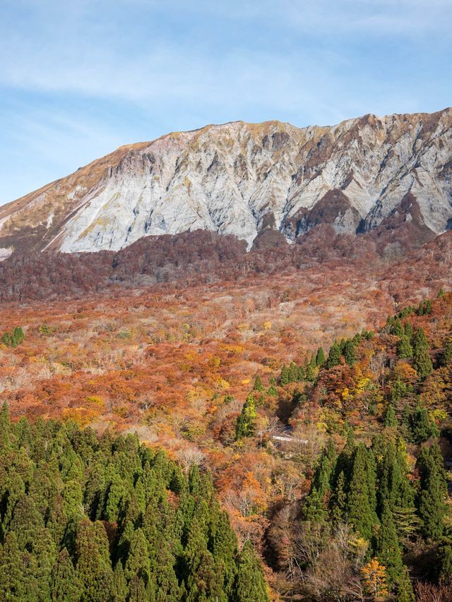 【全国的に一足早い紅葉🍁】鳥取県・大山の紅葉がとても綺麗！✨