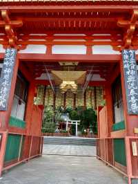 【京都府】2023年行って良かった「八坂神社」