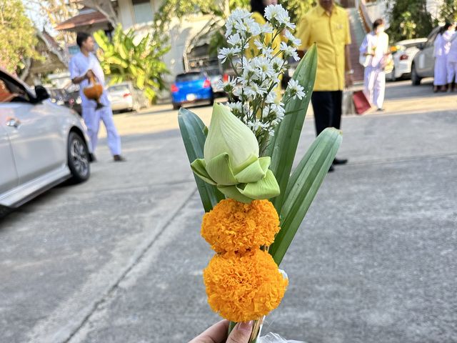 มูเตลูรับปีใหม่ 🎉🎉