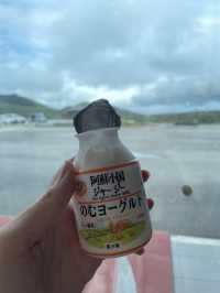 【熊本】阿蘇山一日遊|景點,住宿全公開!🌋