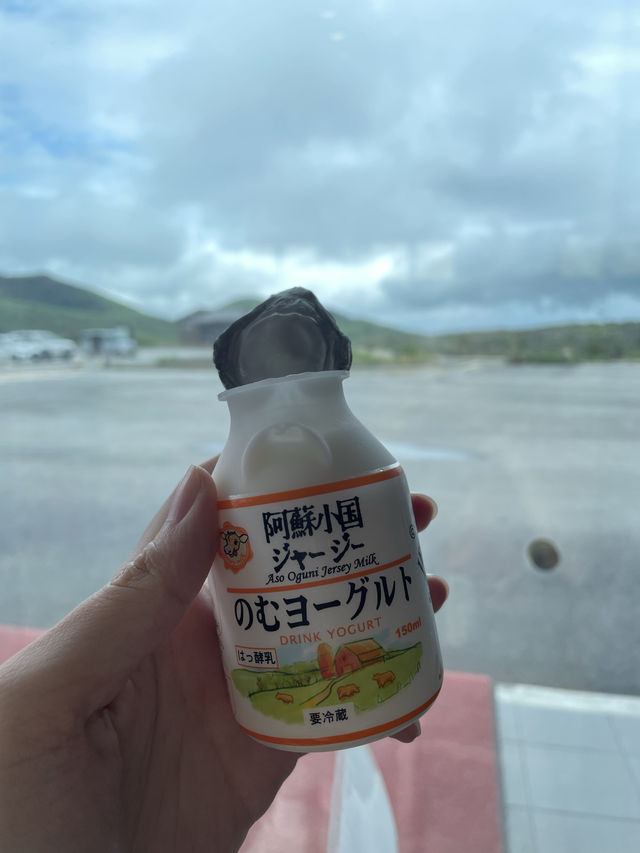 【熊本】阿蘇山一日遊|景點,住宿全公開!🌋