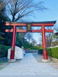 【東京都/根津神社】幅広い方々から人気の神社