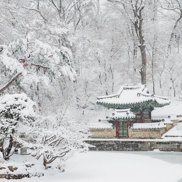 The Beauty of Changdeokgung palace in winter 
