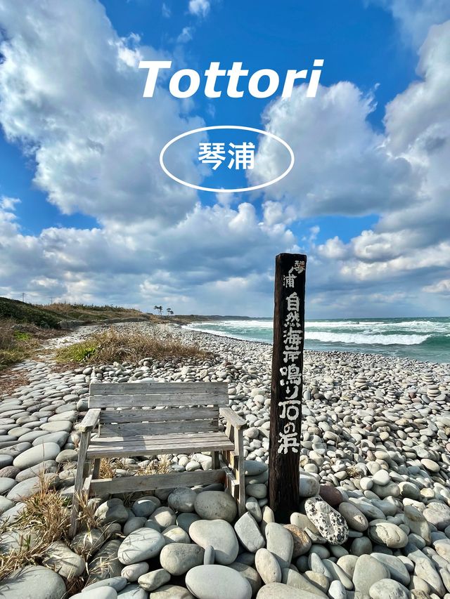 【鳥取　琴浦】鳴り石の浜