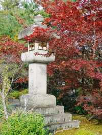 京都景點｜嵐山免費的賞楓地——清涼寺