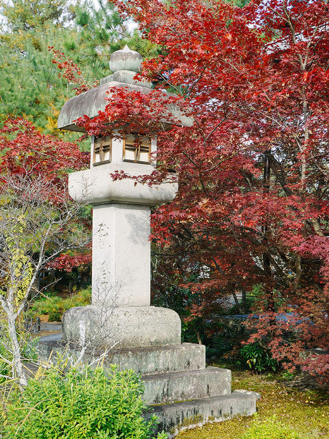 京都景點｜嵐山免費的賞楓地——清涼寺