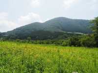 Hokane Botanical Garden of Wetlands