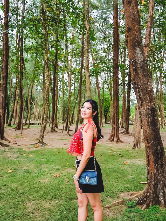 เดินเล่นริมหาด ชมทิวสน ที่หาดบางเบน