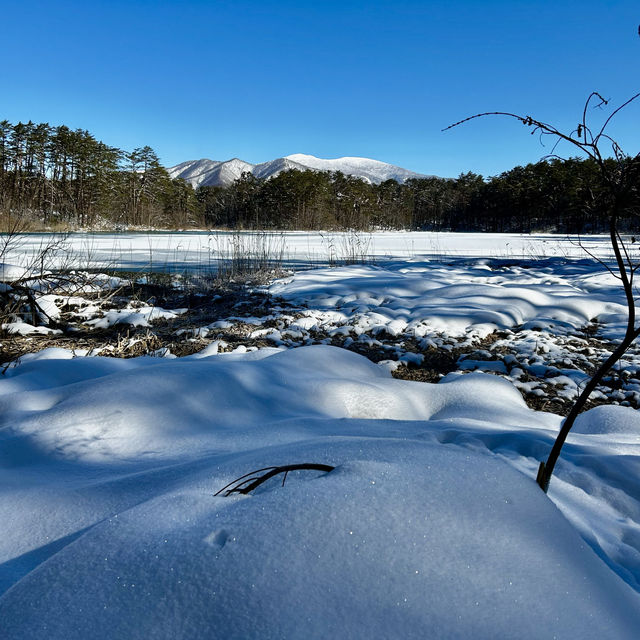 Winter frozen of Goshiki-numa ❄️ 