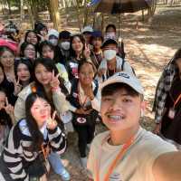 Sambor Prei Kuk Cambodia 