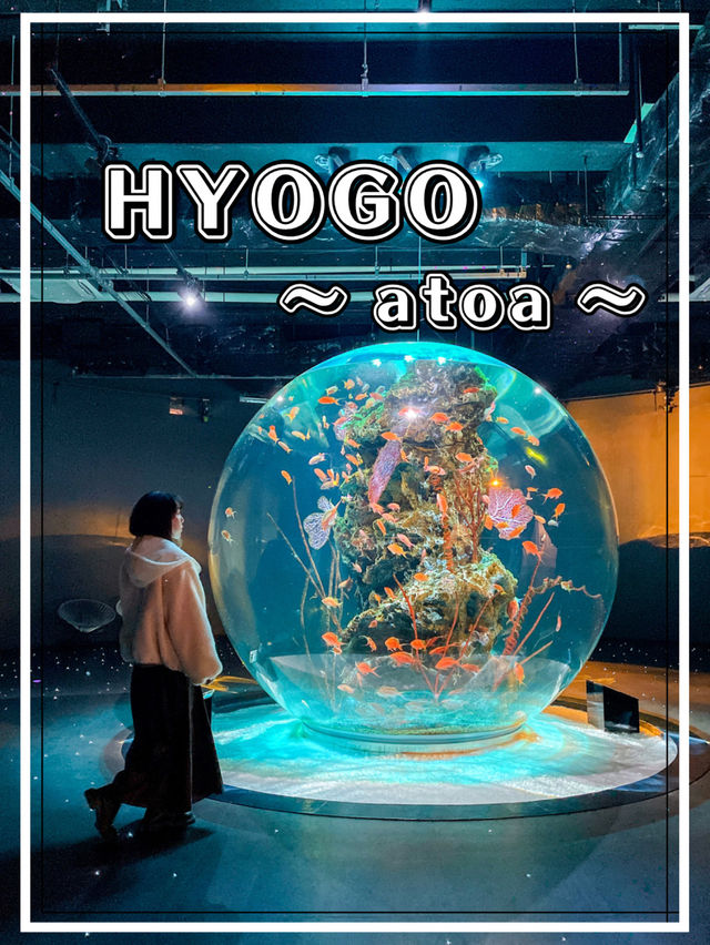【兵庫】新感覚！アクアリウムとアートが融合した都市型水族館