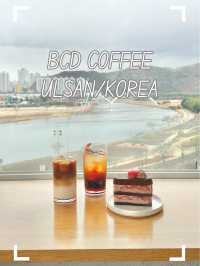 【韓国/蔚山/カフェ】高台にある景色が素敵なカフェ☕️
