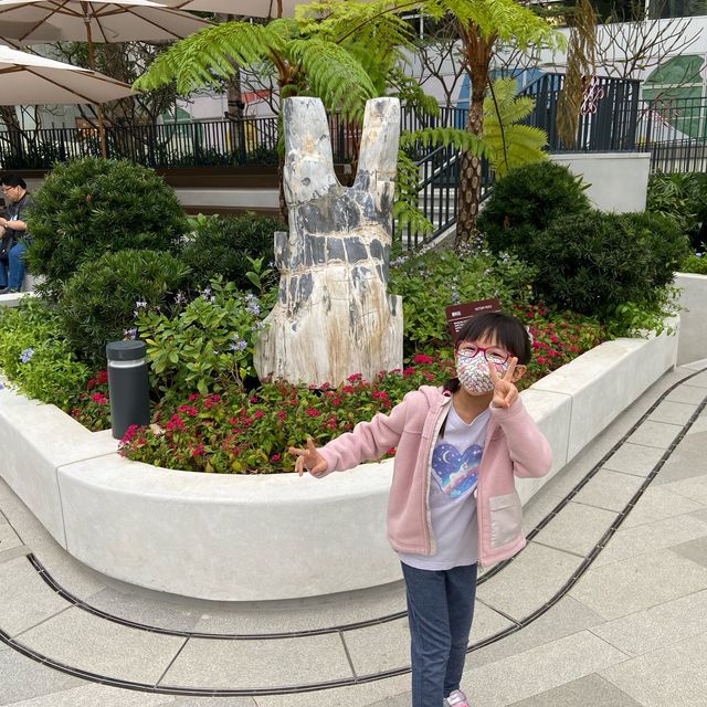 【香港首個木化石公園】佔地7萬平方英呎，適合親子探索科學知識