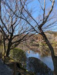 龍安寺の境内の鏡容池(おしどり池)の、水分石(みくまり石)の上には、２羽の鳥が仲良く並んでいた