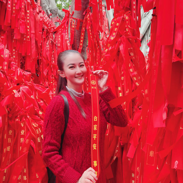 滿樹技的紅絲帶迎風搖曳飄揚,許願著每個人心中願望