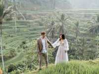 Engagement shoot @ Tegallalang Ricefield