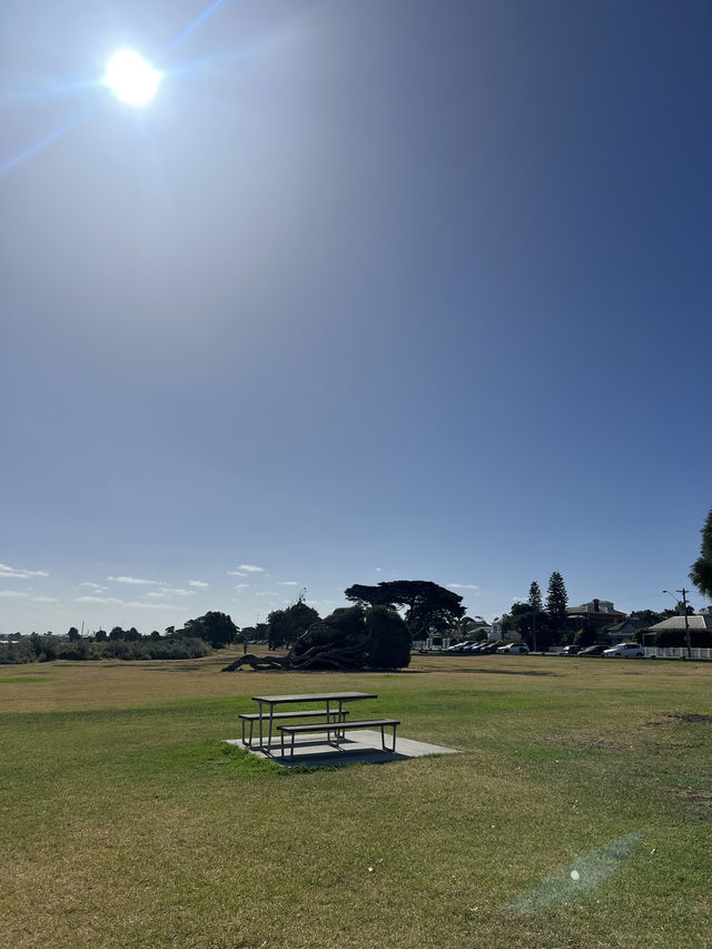 ทะเลลับๆใกล้เมลเบิร์น Williamstown beach