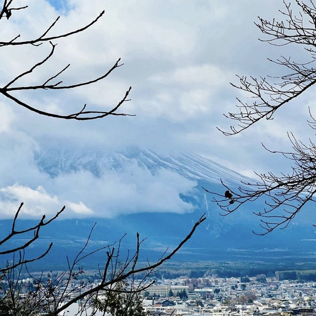 風景優美富士山