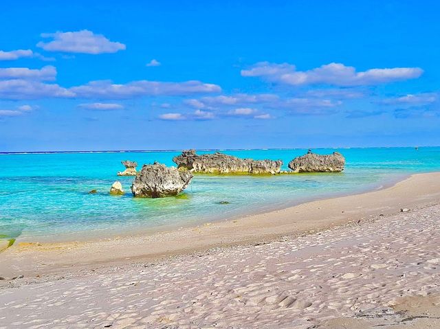 Terasaki Beach • Tumai 