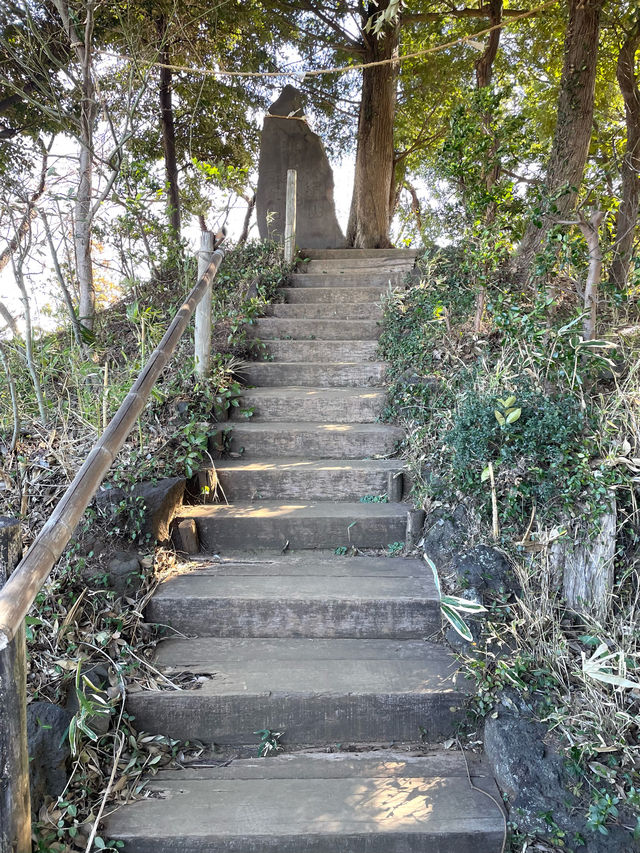 【九重神社/埼玉県】川口市指定の保存樹木「スダジイ」が圧巻！