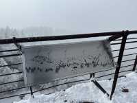 Shinhotaka Ropeway ในวันที่หิมะตก❄️☃️