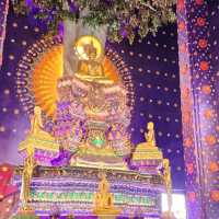 วัดโบสถ์สีม่วง สวยเกินห้ามใจ !
