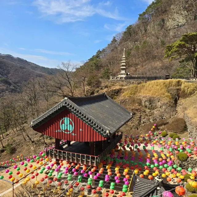 봄을 알리는 청량사