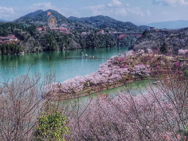 惠那峽櫻花祭