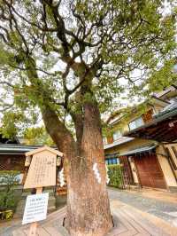 【京都】魔除け厄除けのパワースポット⭐晴明神社⛩