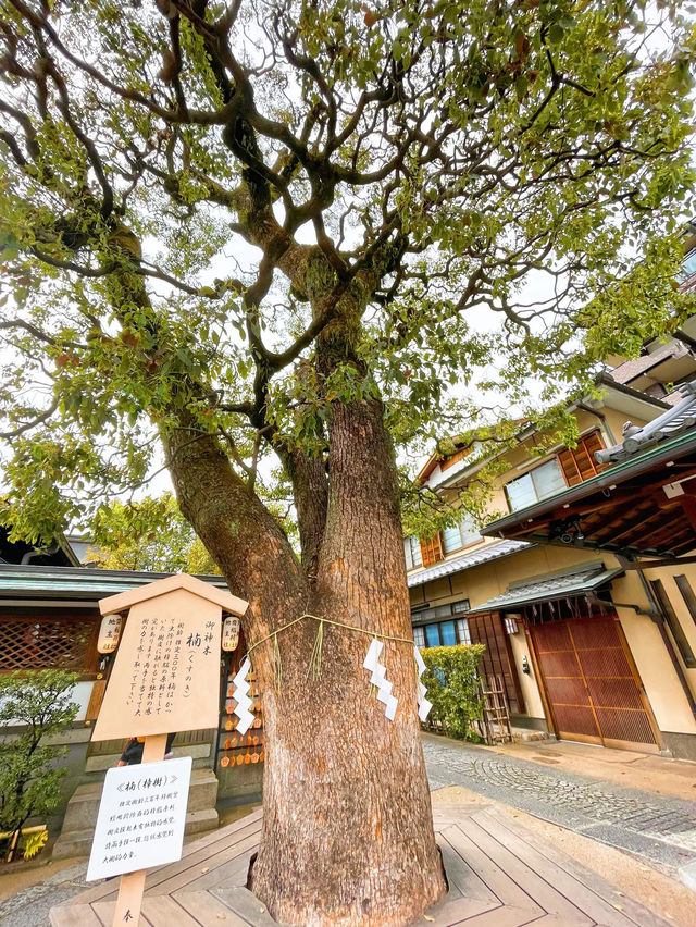 【京都】魔除け厄除けのパワースポット⭐晴明神社⛩