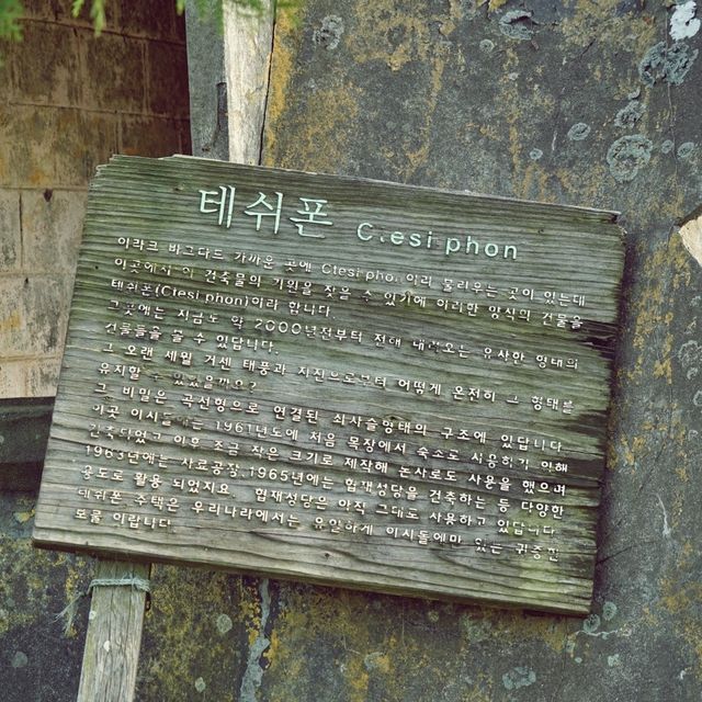 🏛 이시돌목장 테쉬폰 주택, 고대 건축 양식의 보물!