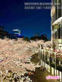 【東京ミッドタウン/東京都】200mの桜並木を昼も夜も堪能