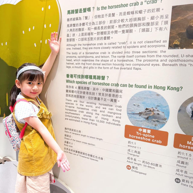 🌊香港海洋公園保育基金 X 太古城中心🎪