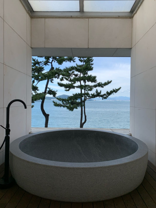  남해 바다가 한눈에 보이는 더뷰1151 🩵