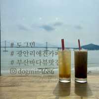 광안리 여행 이색 데이트 코스, 도그민