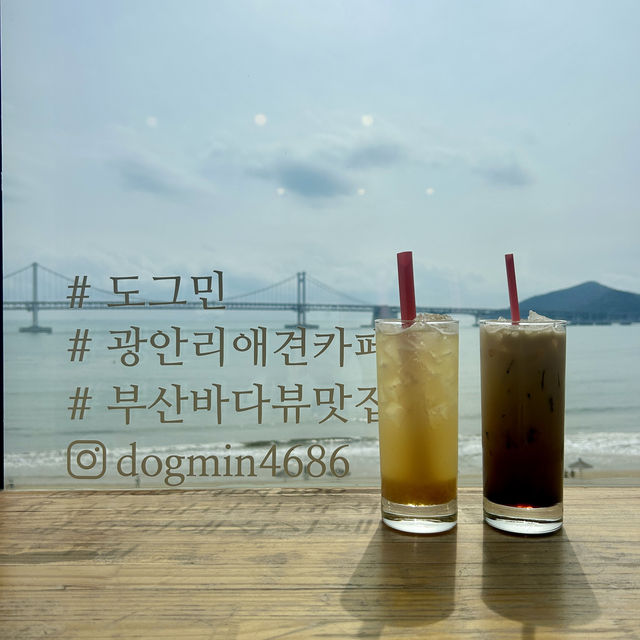 광안리 여행 이색 데이트 코스, 도그민