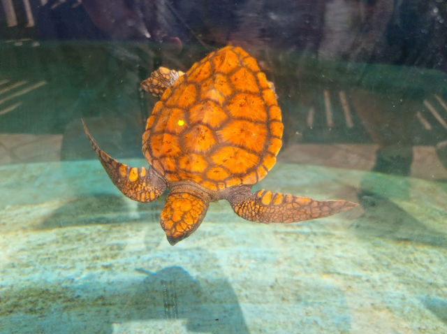 AQWA The Aquarium Of Western Australia