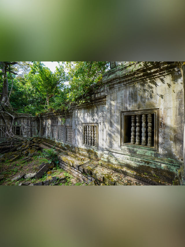 【カンボジア・シェムリアップ】ベンメリア遺跡〘観光〙