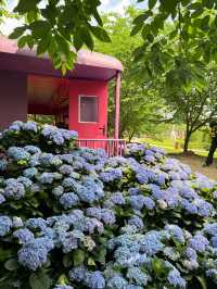 💐 Manhua Manor • Chengdu 