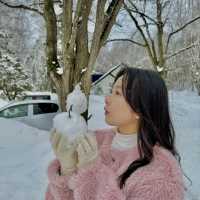 삿포로에 갈까요 ? ☃️
