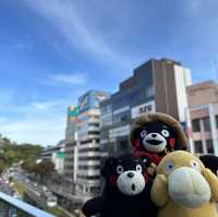 熊本市一天遊正式開始🥰