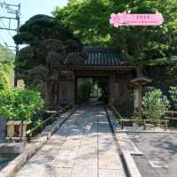 Hokokuji Temple
